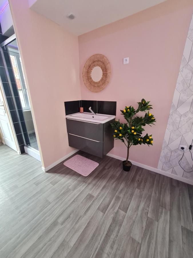 Ng Suitehome - Lille I Roubaix Centre I 121 - Pastel - Netflix - Wifi Kültér fotó