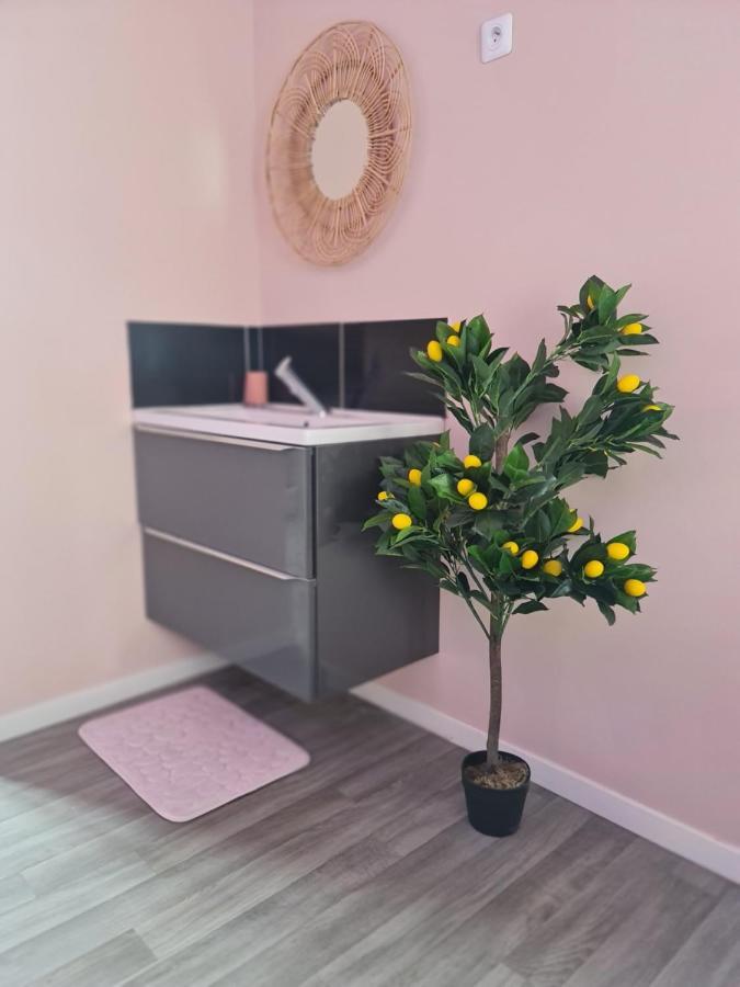 Ng Suitehome - Lille I Roubaix Centre I 121 - Pastel - Netflix - Wifi Kültér fotó